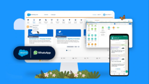 Should You Use WhatsApp in Salesforce Marketing Cloud?