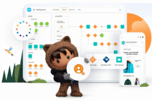 Salesforce Marketing Cloud - Growth Edition